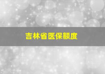 吉林省医保额度