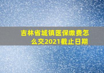 吉林省城镇医保缴费怎么交2021截止日期