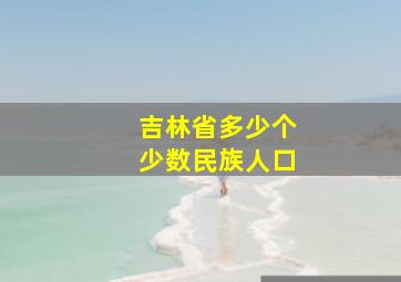 吉林省多少个少数民族人口