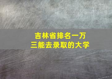 吉林省排名一万三能去录取的大学