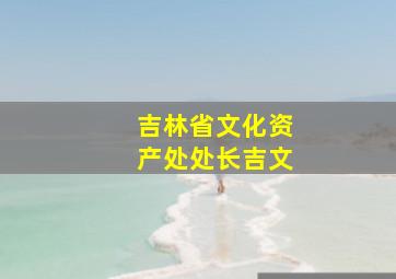 吉林省文化资产处处长吉文