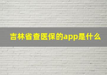 吉林省查医保的app是什么