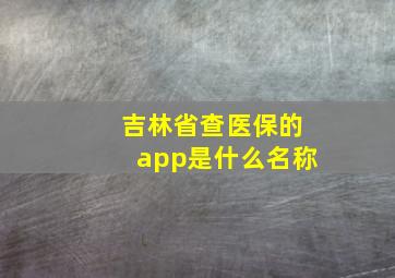 吉林省查医保的app是什么名称