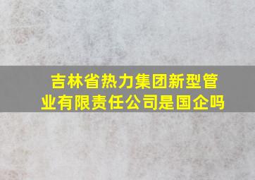 吉林省热力集团新型管业有限责任公司是国企吗