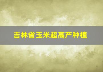 吉林省玉米超高产种植