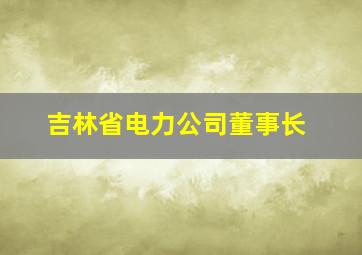 吉林省电力公司董事长