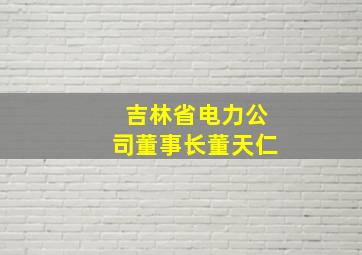 吉林省电力公司董事长董天仁