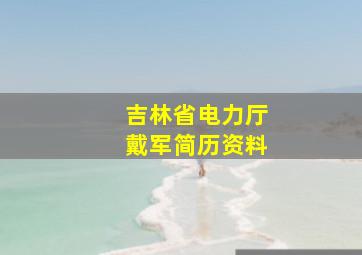 吉林省电力厅戴军简历资料