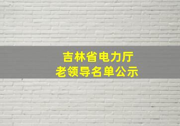 吉林省电力厅老领导名单公示