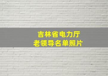 吉林省电力厅老领导名单照片