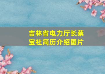 吉林省电力厅长蔡宝社简历介绍图片