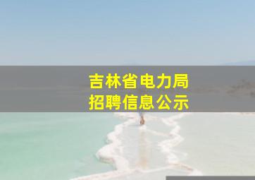 吉林省电力局招聘信息公示