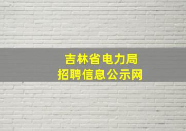 吉林省电力局招聘信息公示网