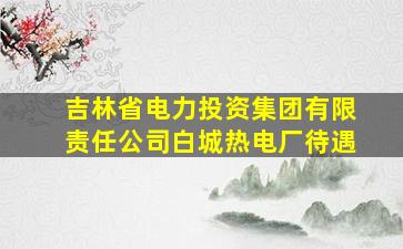 吉林省电力投资集团有限责任公司白城热电厂待遇