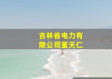 吉林省电力有限公司董天仁