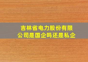 吉林省电力股份有限公司是国企吗还是私企