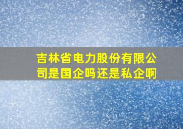 吉林省电力股份有限公司是国企吗还是私企啊