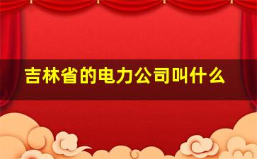 吉林省的电力公司叫什么