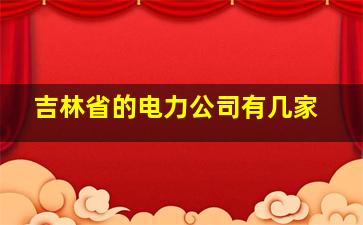 吉林省的电力公司有几家