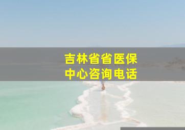 吉林省省医保中心咨询电话