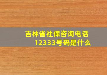 吉林省社保咨询电话12333号码是什么