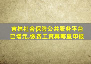 吉林社会保险公共服务平台已增元,缴费工资再哪里申报