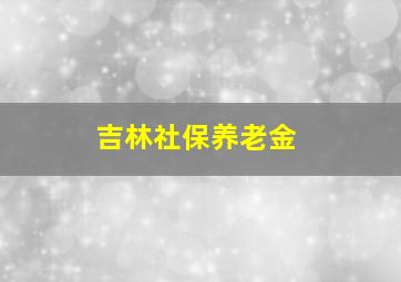 吉林社保养老金