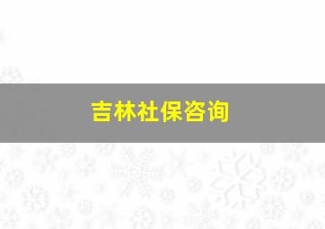 吉林社保咨询