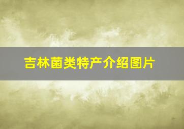 吉林菌类特产介绍图片