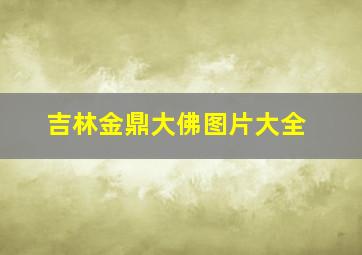 吉林金鼎大佛图片大全