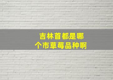 吉林首都是哪个市草莓品种啊