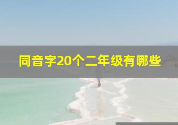 同音字20个二年级有哪些