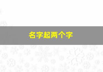 名字起两个字