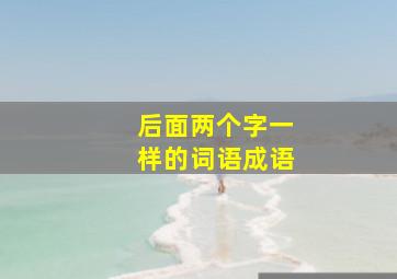 后面两个字一样的词语成语