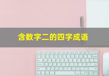 含数字二的四字成语