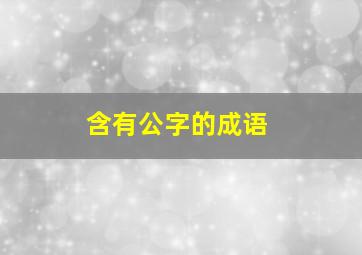 含有公字的成语