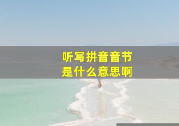 听写拼音音节是什么意思啊