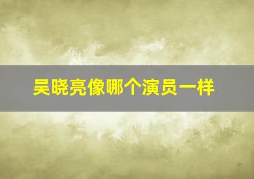 吴晓亮像哪个演员一样