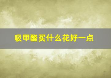 吸甲醛买什么花好一点