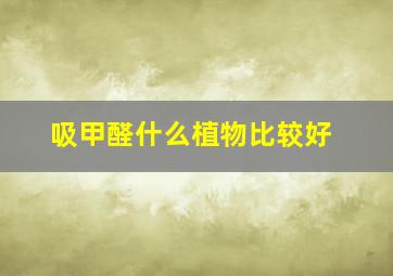 吸甲醛什么植物比较好