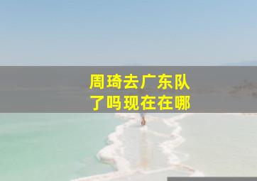 周琦去广东队了吗现在在哪