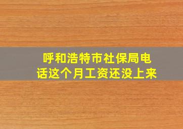 呼和浩特市社保局电话这个月工资还没上来