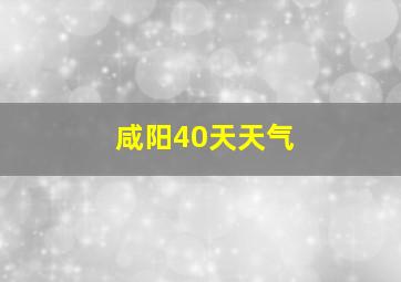 咸阳40天天气