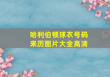 哈利伯顿球衣号码来历图片大全高清