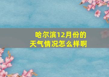 哈尔滨12月份的天气情况怎么样啊