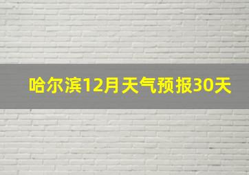 哈尔滨12月天气预报30天