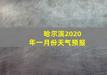 哈尔滨2020年一月份天气预报