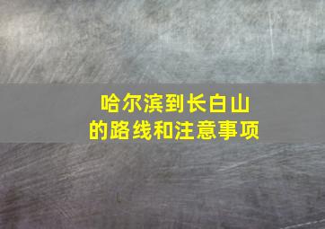 哈尔滨到长白山的路线和注意事项