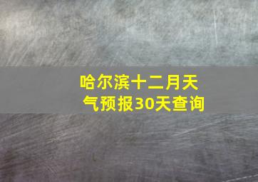 哈尔滨十二月天气预报30天查询