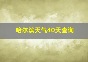 哈尔滨天气40天查询